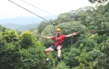 Jungle Flight Chiang Mai