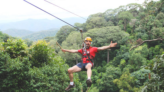 Jungle Flight Chiang Mai