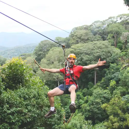 Jungle Flight Chiang Mai
