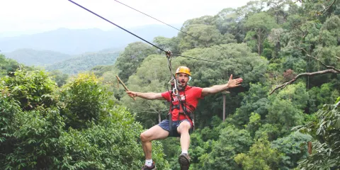 Jungle Flight叢林飛躍