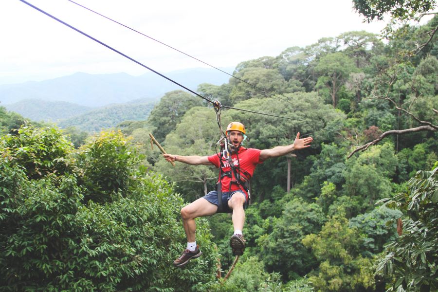 Jungle Flight叢林飛躍