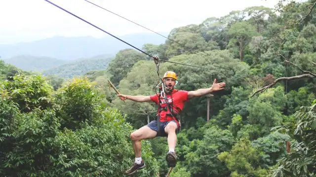 Jungle Flight叢林飛躍