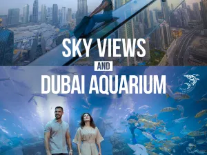 Sky Views Observatory