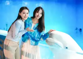 Tianjin  Polar  Ocean Resort