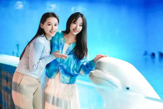 Hotels near Tianjin  Polar  Ocean Resort