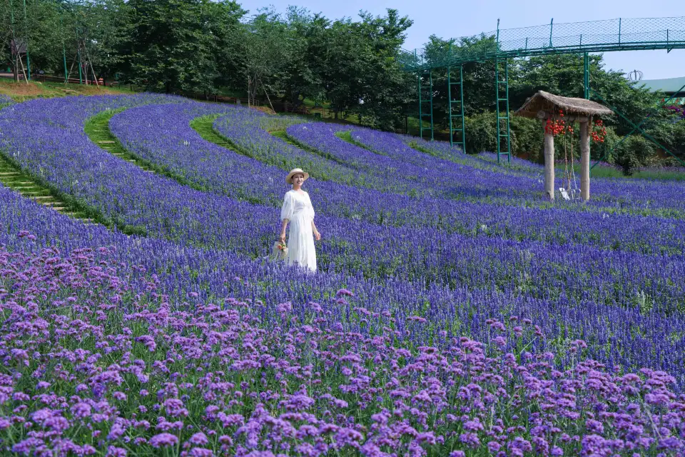 2_Manhua Sea of Flowers