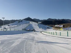 대별산 스키 관광 휴양지