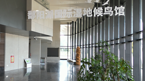 Poyang Lake International Wetland Migratory Bird Center