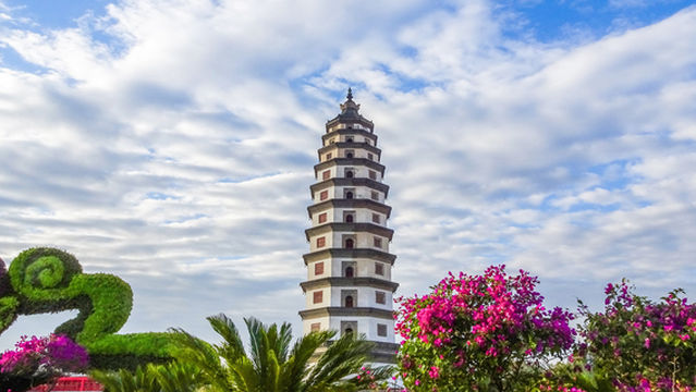 The Kaiyuan Temple Pagoda