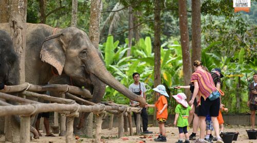 Elephant Jungle Sanctuary Samui