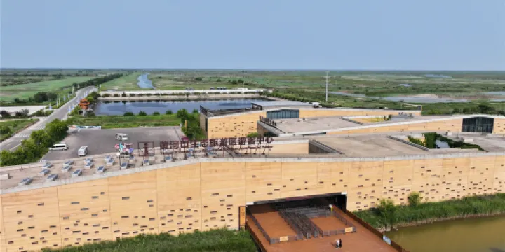 黃河口生態旅遊區