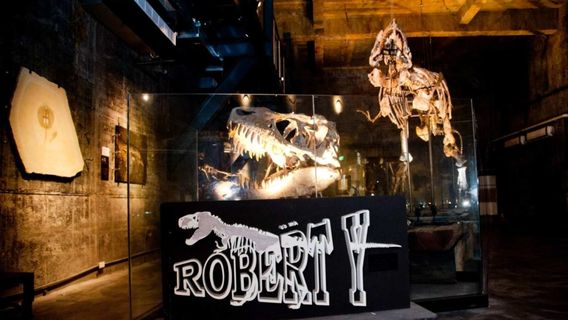 Robert Y Crazy Dream Art Park