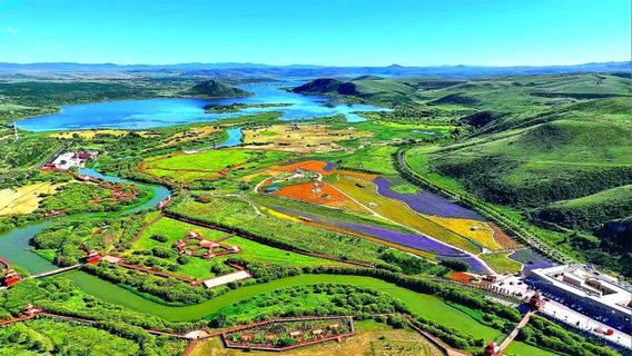 duo lun hu wan hua dao meng chong shi jie