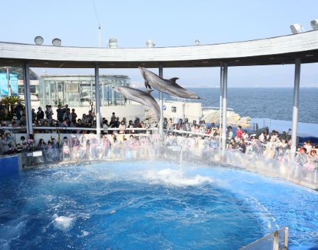 大分市 自由行套票