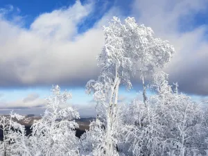 아얼산 국가산림공원