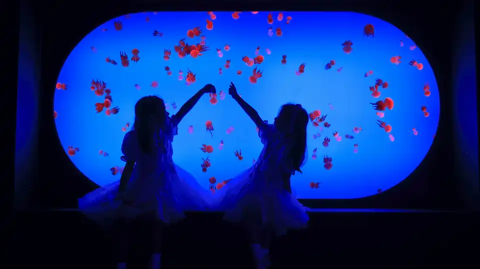 4_Shanghai Ocean Aquarium