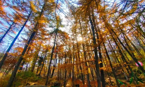 Lushan National Forest Park