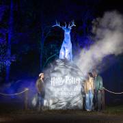 Cultural institutions