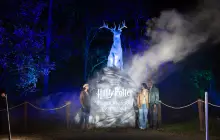 [Shenzhen] Harry Potter: A Forbidden Forest Experience