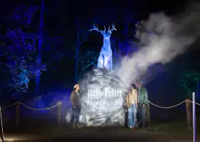 【深圳】哈利波特:禁忌森林體驗