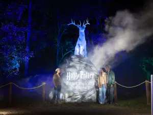 [Shenzhen] Harry Potter: A Forbidden Forest Experience