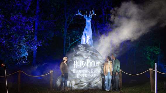 [Shenzhen] Harry Potter: A Forbidden Forest Experience