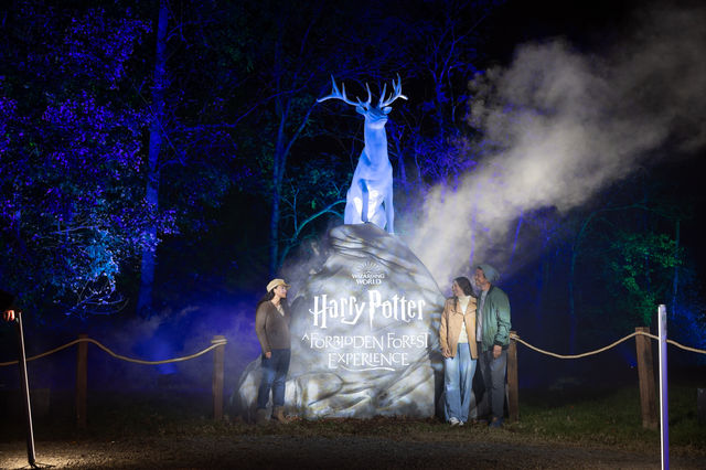 [Shenzhen] Harry Potter: A Forbidden Forest Experience | niu hu shui shu zi yi shu sheng huo shui lang