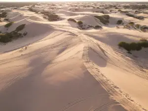 庫倫沙漠