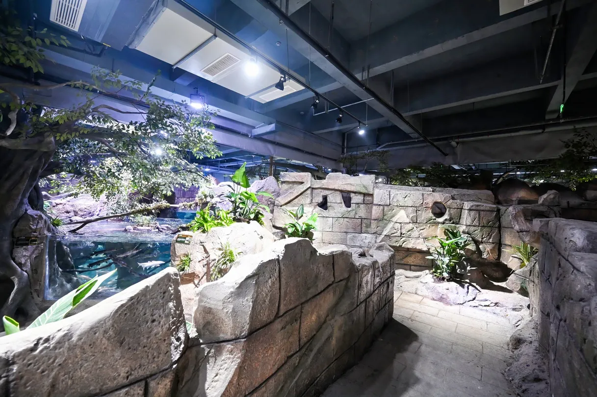 4_舟山長喬雨林動物公園