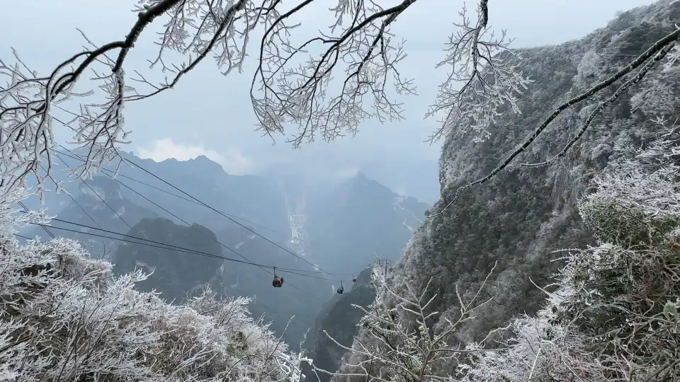 4_Tianmen Mountain National Forest Park
