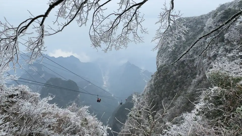4_Tianmen Mountain National Forest Park