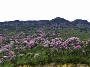 Sedan Chair Snow Mountain Tourism Zone