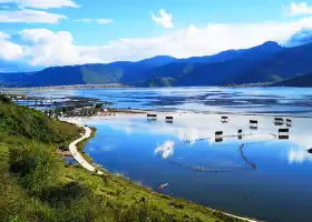 Napa Sea(Yila Prairie)