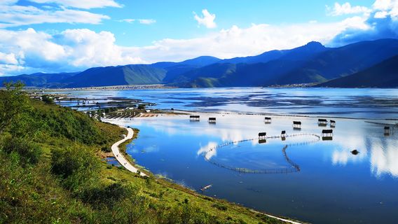 Napa Hai (Yila Grassland)