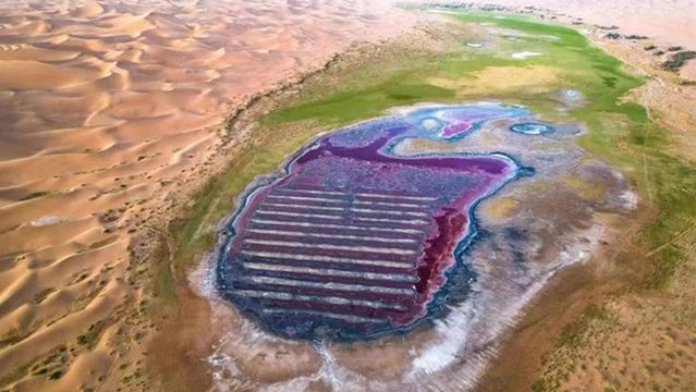 teng ge li sha mo ji ta hu