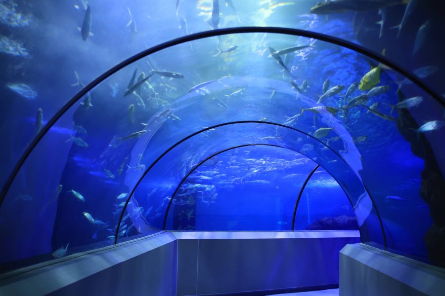 龍門海洋館