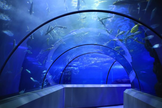 Longmen Aquarium