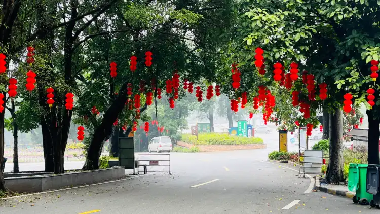 Hotels near Chishi Scenic Area