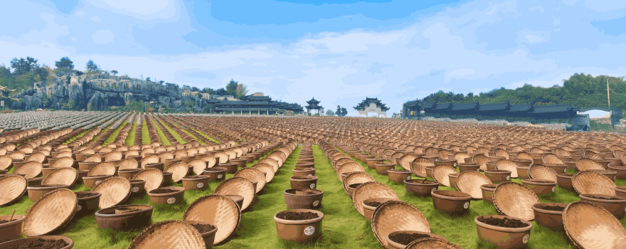 China Yongxingcheng Soy Sauce Culture Expo Park