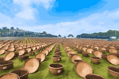 China Yongxingcheng Soy Sauce Culture Expo Park
