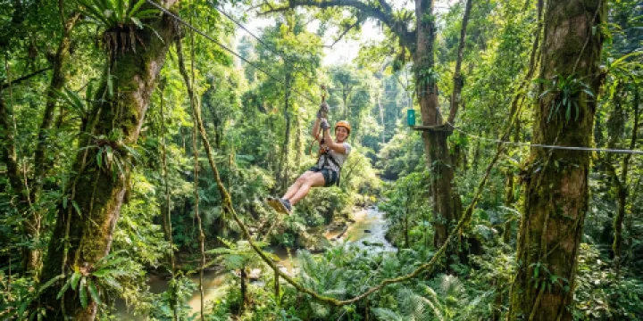 西雙版納叢林探險