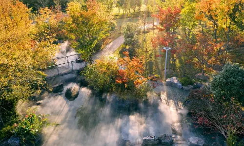 Ningbo Botanical Garden