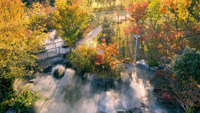 Ningbo Botanical Garden
