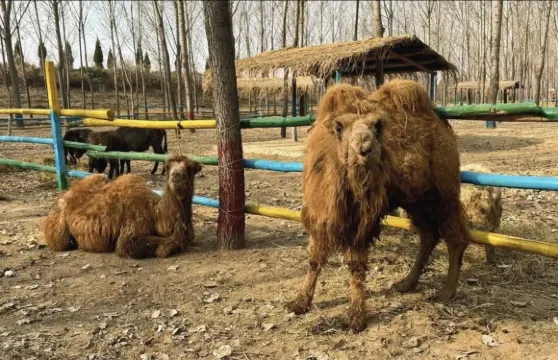 侯馬林下生態觀光體驗園門票大小同價