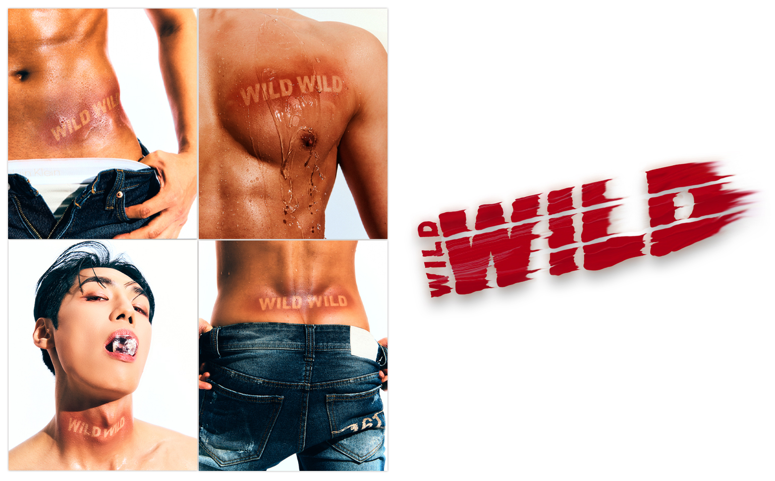 Wild Wild Show | Seoul