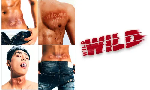 Wild Wild 猛男秀