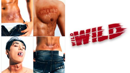 Wild Wild 猛男秀演出票女士票(限19歲及以上) Wild Wild 猛男秀演出票女士票(限19歲及以上)