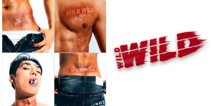 Wild Wild 猛男秀