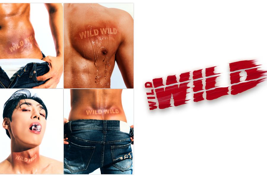 Wild Wild 猛男秀