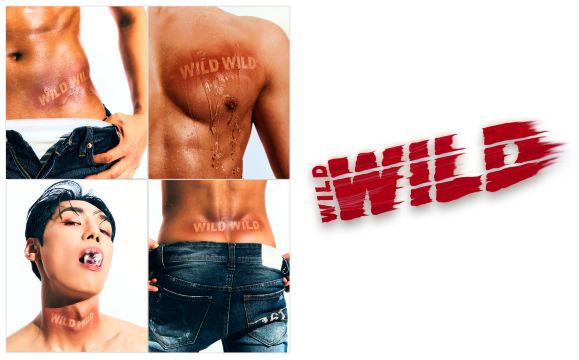Wild Wild 猛男秀